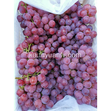 BINCHUAN GRAPES დაწყებულია